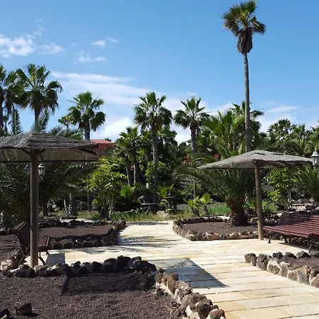 Oasis Royal 2 3 Piscinas-fibra Ptica *