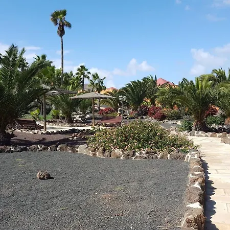 Oasis Royal 2 3 Piscinas-fibra Ptica Коральео