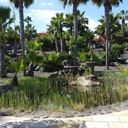 Oasis Royal 2 3 Piscinas-fibra Ptica Апартаменты Коральео